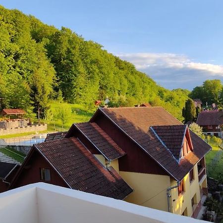 Apartament Vass Sovata Bagian luar foto